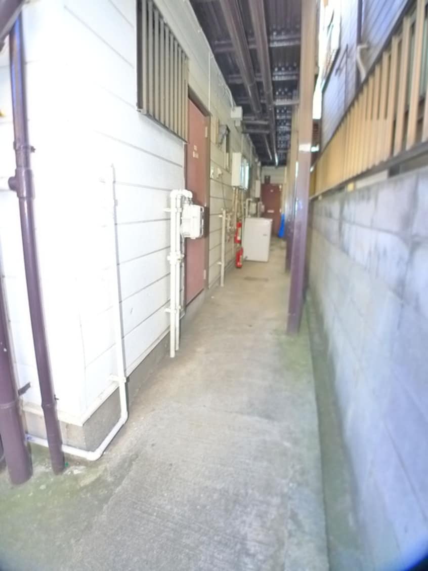 その他 ドミール・モリス