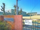 市川市立国分小学校(小学校)まで690m ドミール・モリス