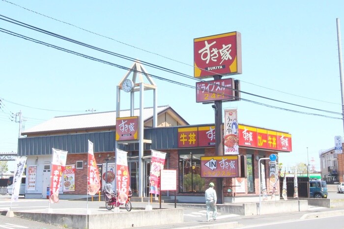 すき家(その他飲食（ファミレスなど）)まで740m 浦和美園貸家