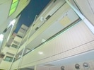 スカイコ－ト金町第４(306)の外観