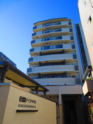 SYFORME GAKUSHUINSHITA(601)