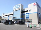 ヤマダ電機テックランド戸塚店(電気量販店/ホームセンター)まで500m プラザエテルノ