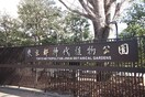 神代植物公園(公園)まで700m サンライズ深大寺