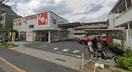スギ薬局　上井草店(ドラッグストア)まで368m アーバンライフ