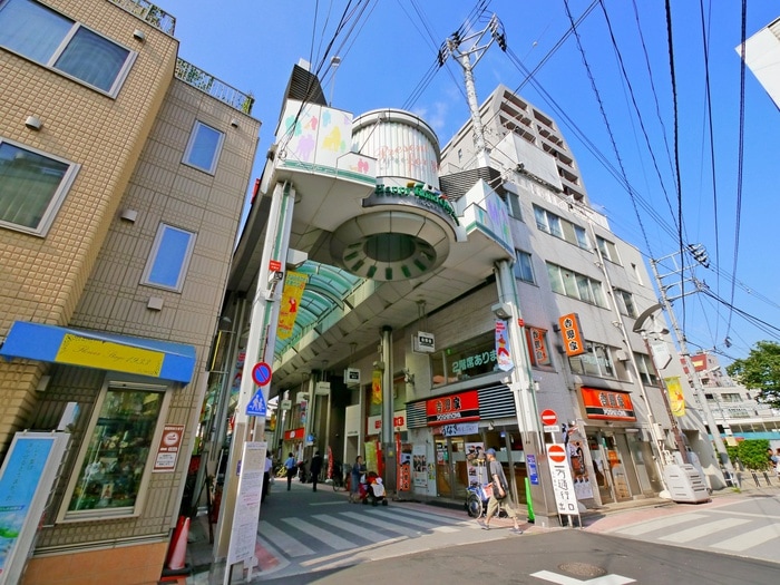 大山ハッピーロード商店街(デパート)まで386m Recx　Nakaitabashi