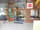 スターバックスＴＵＴＡＹＡ馬事公苑店(カフェ)まで519m ホームズ桜丘B