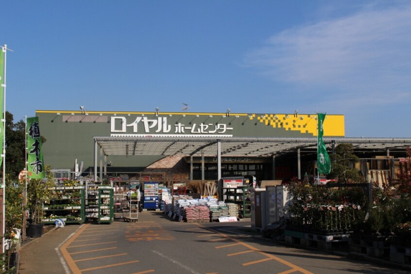 ロイヤルホームセンター(電気量販店/ホームセンター)まで469m シ－サイドワン