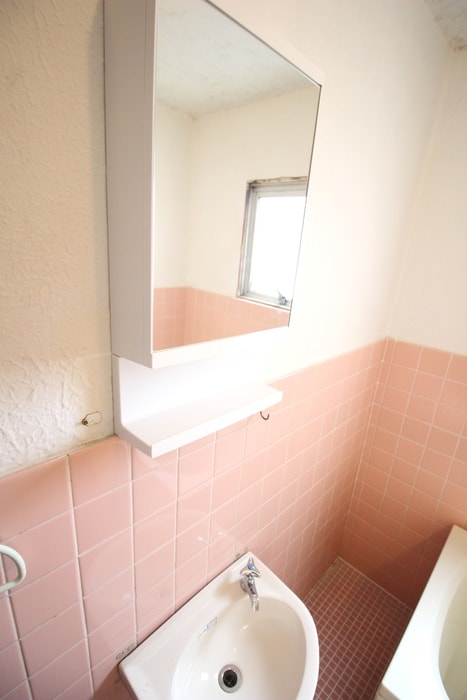 洗面 蓮根城北マンション