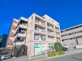ウメジュネス