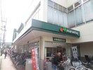maruetsu中山店(スーパー)まで483m 上原荘