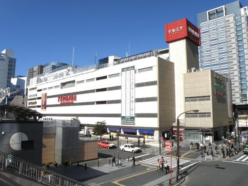 テルミナ(電気量販店/ホームセンター)まで829m ウインベル錦糸町第3