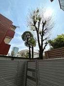 室内からの展望 パークアクシス市谷加賀町