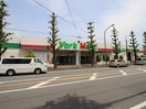 ヨークマート富士見店(スーパー)まで370m オリーブコート
