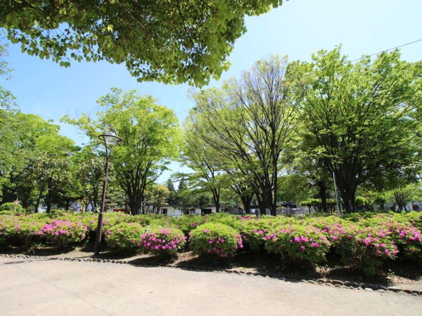 鹿沼公園(公園)まで1000m オリーブコート