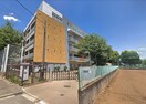 青嵐中学校(中学校/中等教育学校)まで400m 北町ハイツⅡ