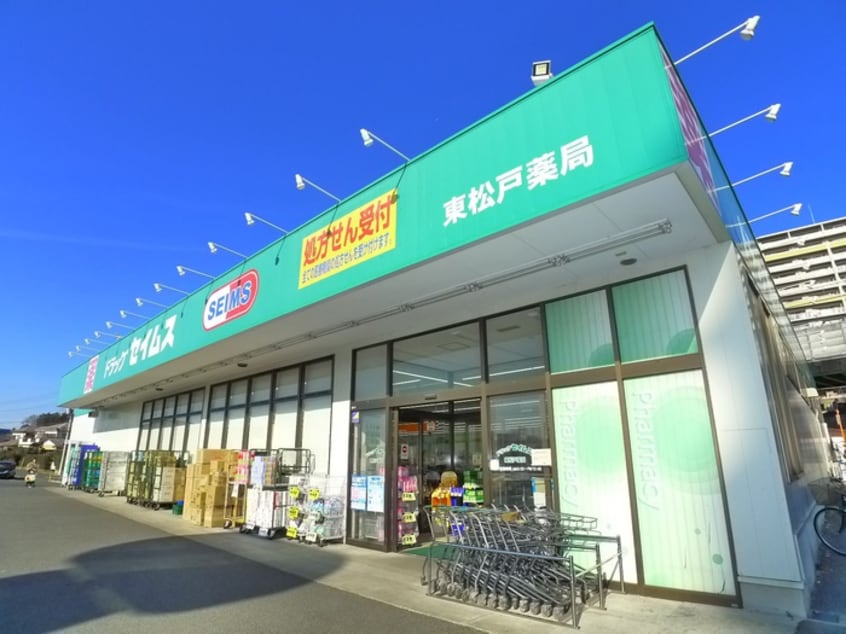 セイムス(ドラッグストア)まで350m スノーフレーク