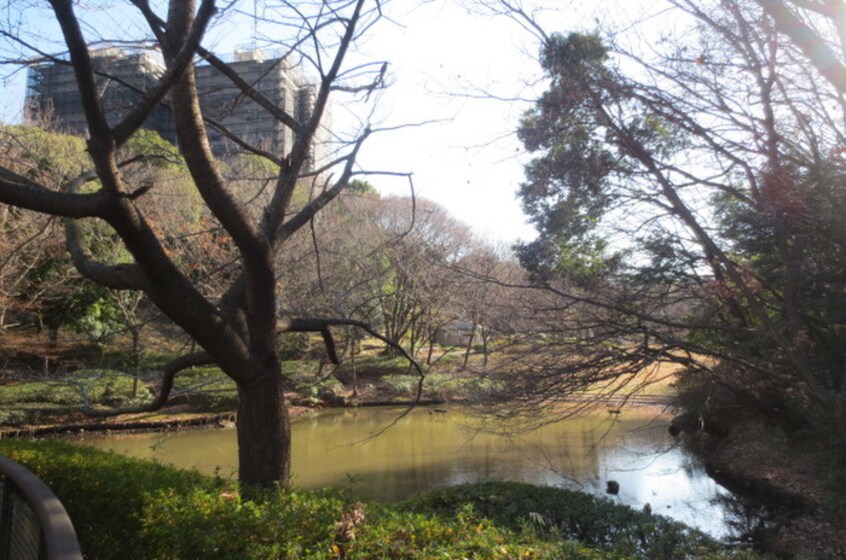 茅ヶ崎公園(公園)まで215m アコールドブルー