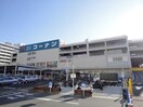 コーナン江東深川店(電気量販店/ホームセンター)まで1675m リブガーデン森下