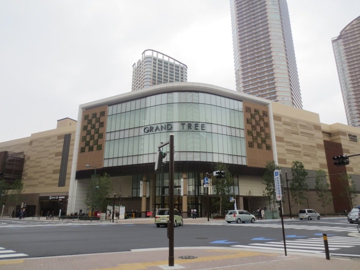 グランドツリー(ショッピングセンター/アウトレットモール)まで360m ロイビル武蔵小杉