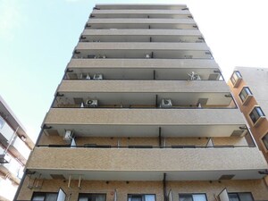 ﾗｲｵﾝｽﾞﾏﾝｼｮﾝ川口第11