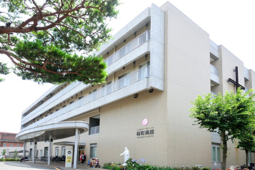 桜町病院(大学/短大/専門学校)まで800m 小金井公園マンション