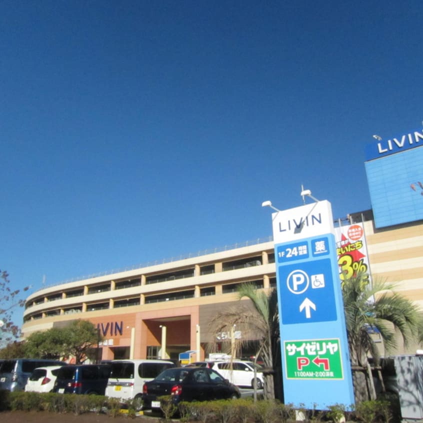 リヴィンよこすか店(スーパー)まで850m ベイルーム県立大学２