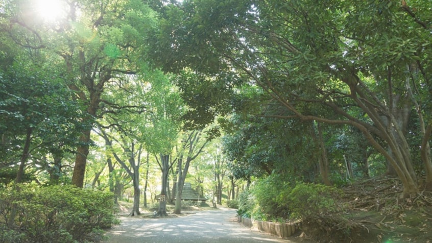 中野区立 平和の森公園(公園)まで900m 松丸ビル