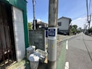 周辺環境 グリーンリーフ
