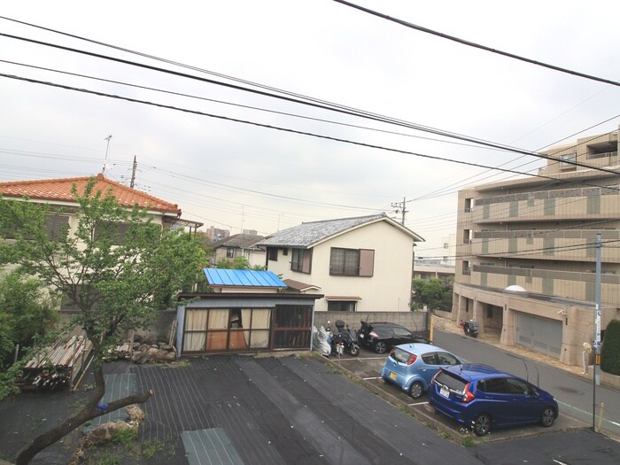 室内からの展望 グリーンリーフ