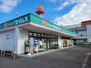 ドラッグセイムス東飯能店(ドラッグストア)まで398m 富士見レッズ