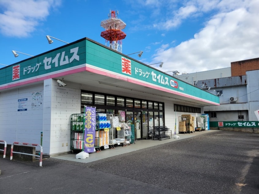 ドラッグセイムス東飯能店(ドラッグストア)まで398m 富士見レッズ