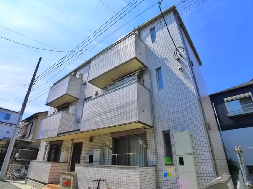 その他 フィカーサ