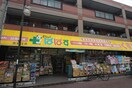 どらっぐぱぱす西瑞江店(ドラッグストア)まで208m フィ－ルランド