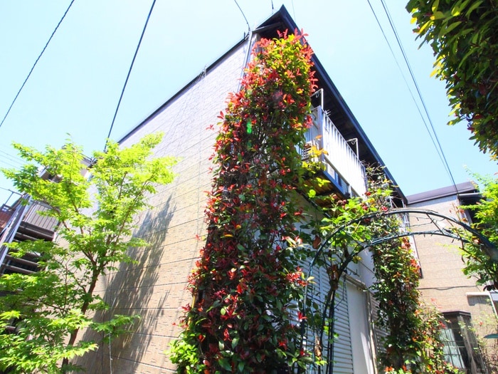 外観写真 ハイツベガ