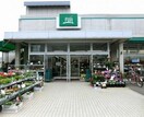 FUJIスーパー鵠沼店(スーパー)まで1000m ポートアリス