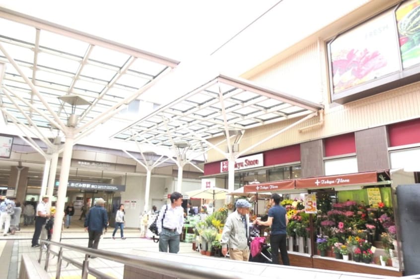 あざみ野 東急ストア(スーパー)まで440m ラ・ロンディネ