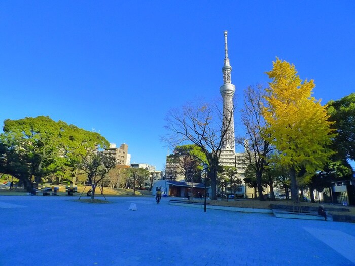 隅田公園(公園)まで1400m デュオフラッツ上野松が谷