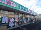 セイムス(ドラッグストア)まで550m アプニ－ル東所沢