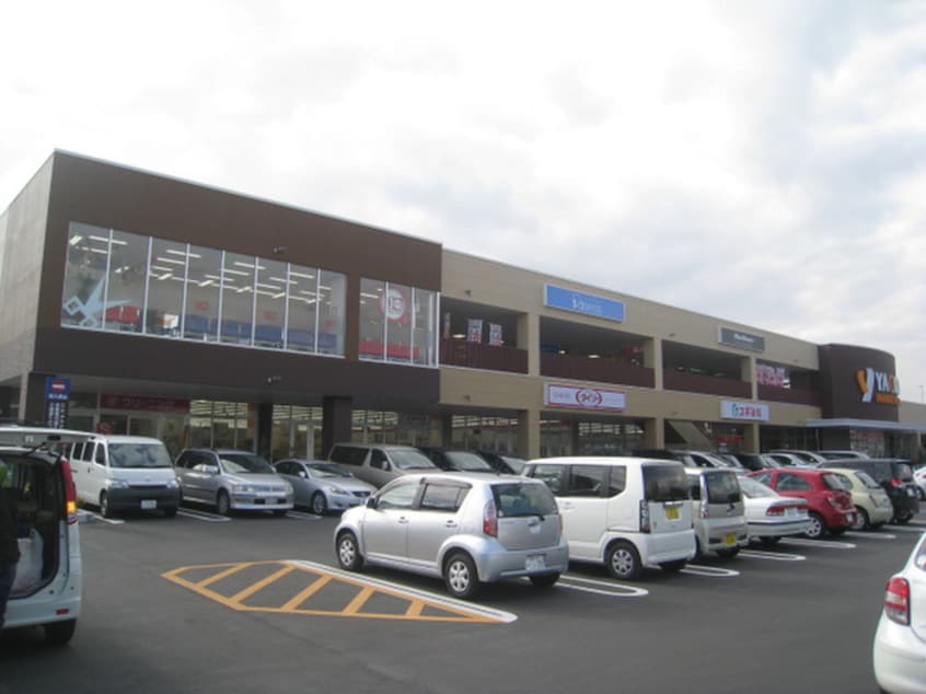 ダイソー　ヤオコー秦野店(100均)まで817m リヴェ－ルＫⅡ