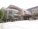 イトーヨーカドー 木場店(ショッピングセンター/アウトレットモール)まで1500m パ－クアクシス東陽町