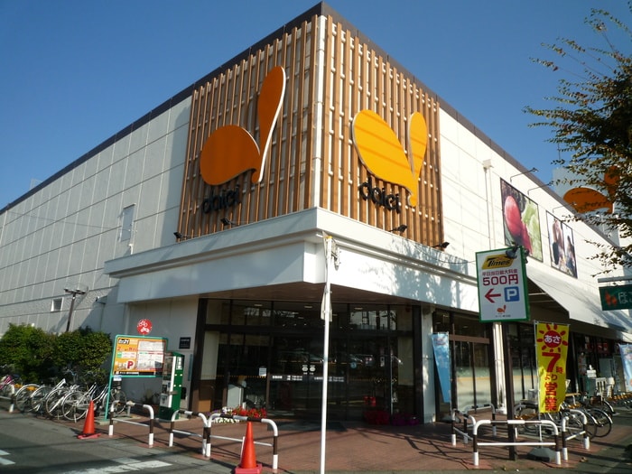 ダイエーグルメシティ(スーパー)まで300m 第１５藤島マンション