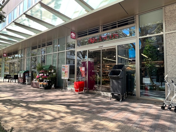 リンコス白金ザスカイ店(スーパー)まで450m 三田ハウス