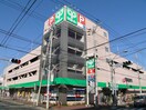 サミットストア菊名店(スーパー)まで579m レジデンス八千代