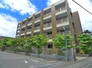 アンプルール　フェール　COCOの外観
