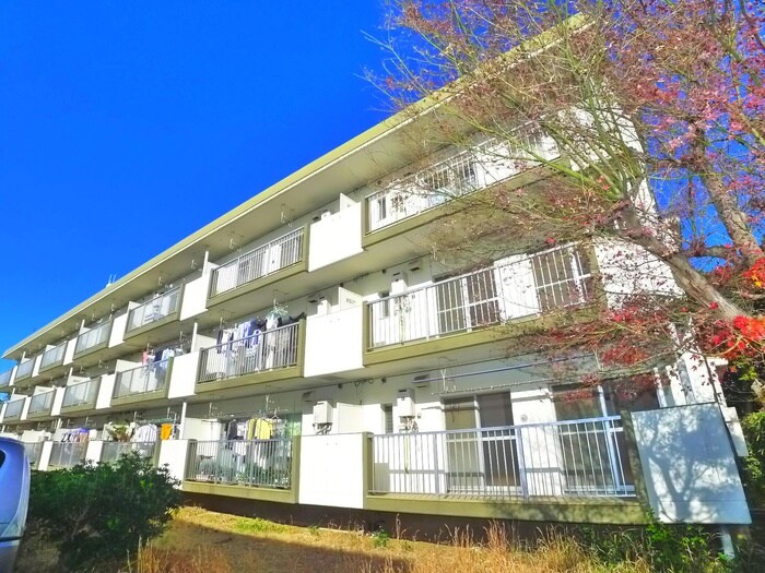 外観写真 パークシティ白扇1号棟