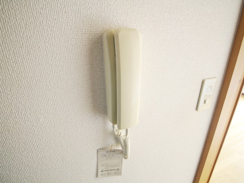 内観写真 サンホワイトカメリア