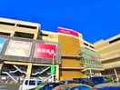 イオンモール(ショッピングセンター/アウトレットモール)まで5340m リッチ　フィールド