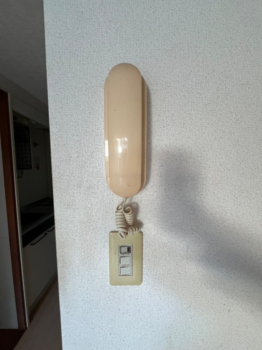 内観写真 エクセランス小金井