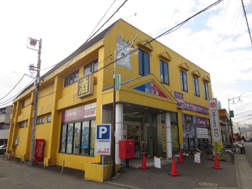 小田原百貨店渋沢店(スーパー)まで813m 福寿荘