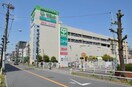 サミット(スーパー)まで360m レオーネ志村坂上